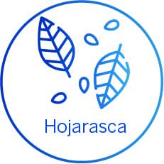 Logo Hojarasca